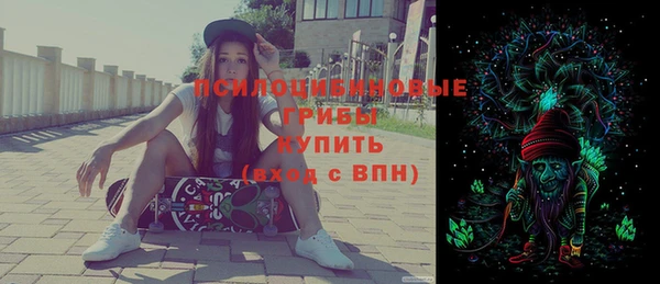ECSTASY Осинники
