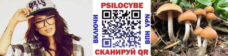 Псилоцибиновые грибы MAGIC MUSHROOMS  blacksprut маркетплейс  Сафоново 