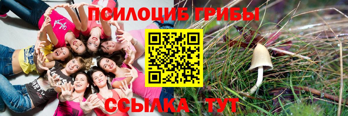Псилоцибиновые грибы прущие грибы Сафоново