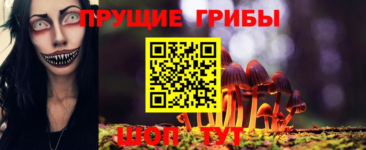 Галлюциногенные грибы прущие грибы  Вход с VPN  Сафоново 